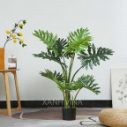 cây trầu bà nam mỹ giả